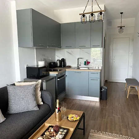 Olive Luxury Appartement Skala Rachoni (Thasos)